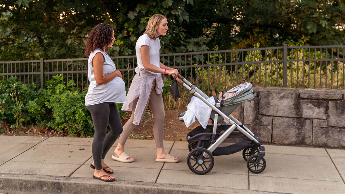 A Multidisciplinary Approach to Supporting Pregnant and  Postpartum Bodies: How Food, Body Image, and Mental Health Intertwine