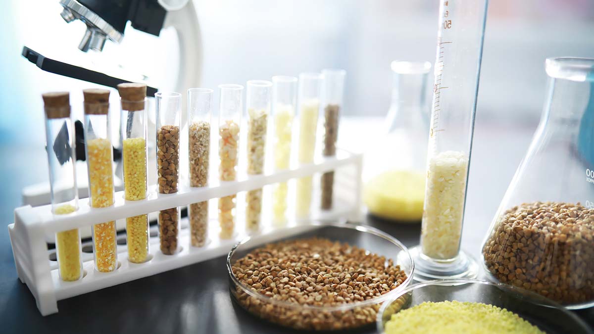 Arsenic, Mercury and Lead, Oh My: The Public Health Implications of Heavy Metals in Our Food Supply