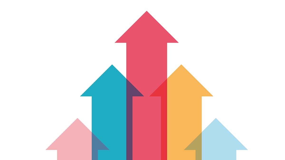 Elevating and Enhancing Future Practice for NDTRs: Envisioning the Top Scope of Practice