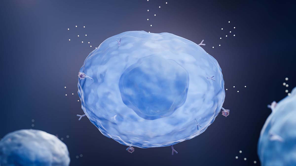 Treating the Trifecta: Mast Cell Disease, Hypermobile Ehlers-Danlos Syndrome and Postural Orthostatic Tachycardia Syndrome
