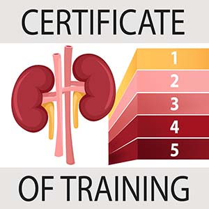 Chronic Kidney Disease Nutrition Management