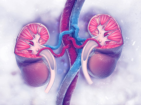 Facilitating MNT Access for Patients with Non-Dialysis Dependent Chronic Kidney Disease