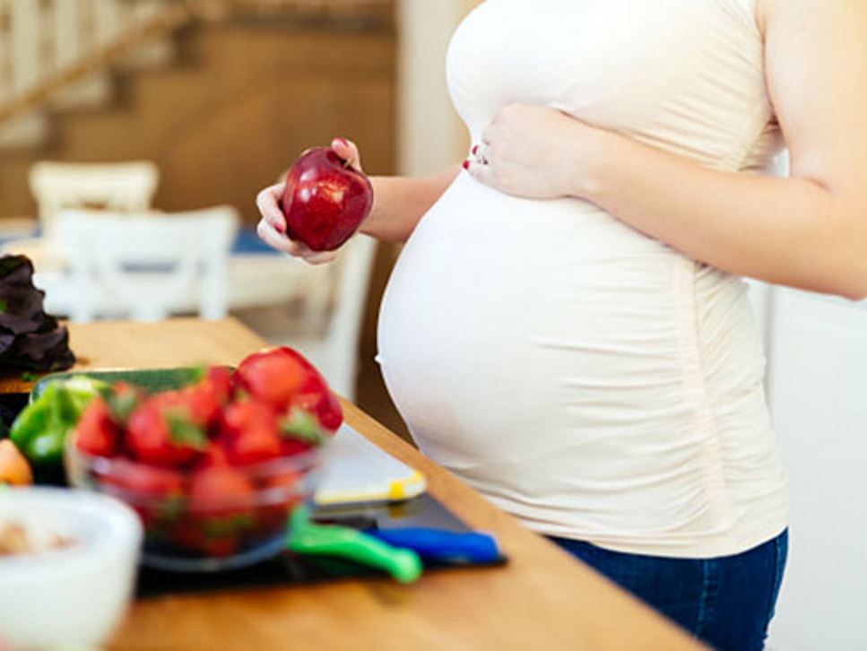 Addressing the Obesity Cycle Through Preconception and Prenatal Health