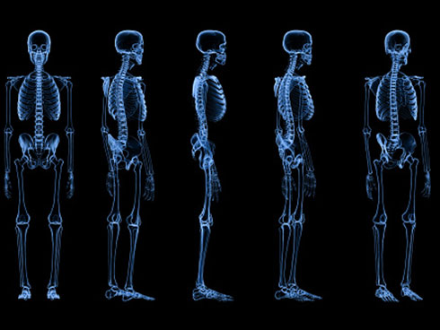 Modernizing Our Approach to Skeletal Health