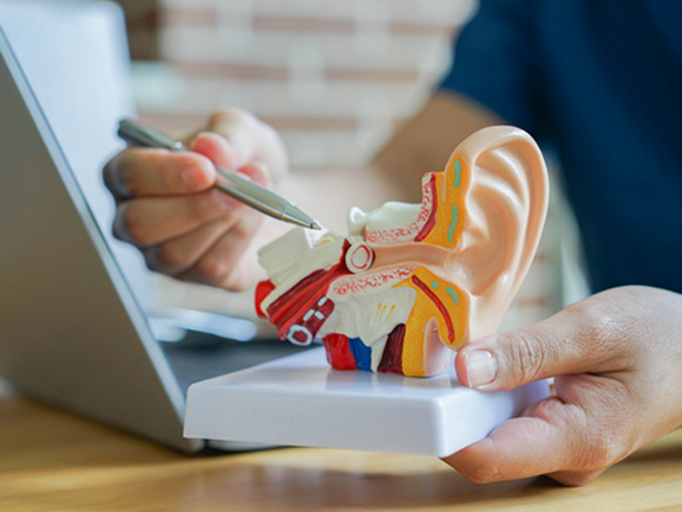 Can You Hear Me? Diabetes, Nutrition Education, and Hearing Loss