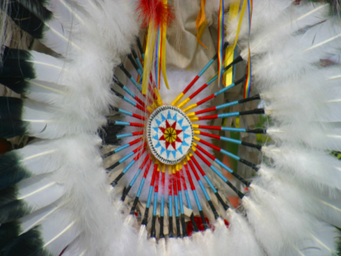 Healthy Tribes: Preventing Chronic Disease in American Indians and Alaska Natives