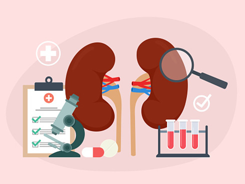 Nutrition for kidney transplant