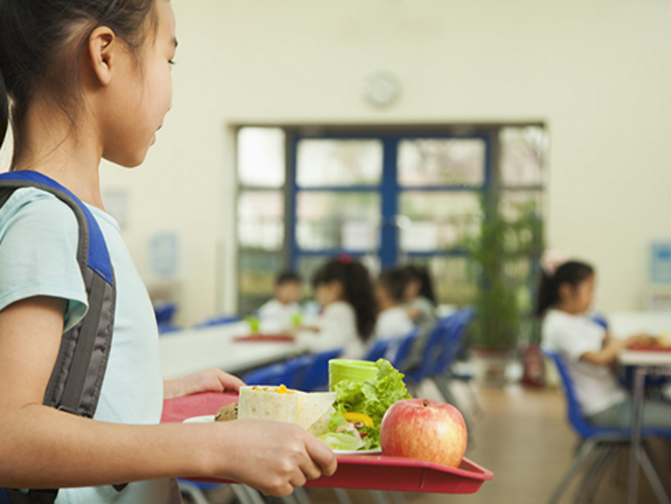 Schools as a System to Improve Nutrition
