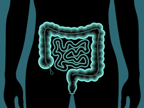 Gut Microbiome and Cardiovascular Risk Reduction: Is It Ready for Prime Time?
