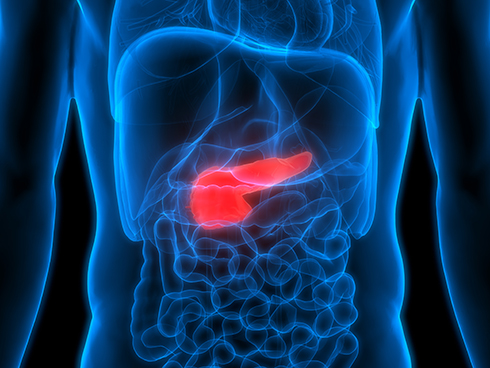 pancreatitus online learning