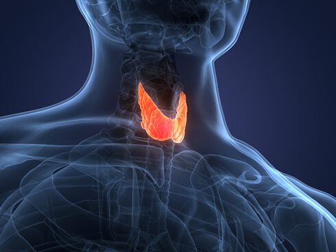 Thyroid online learning