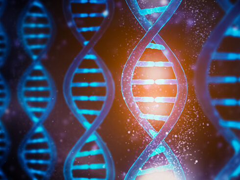 GMOs online learning