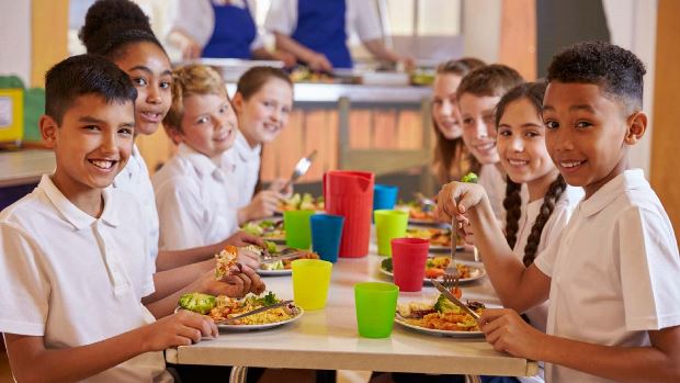 Accommodations, Allergies and Advocacy in School Meals