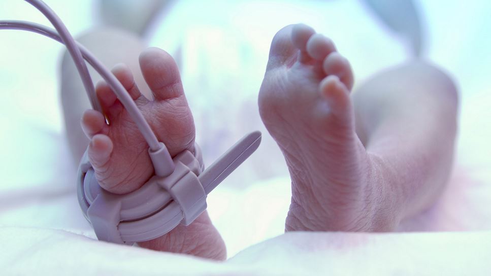 An In-Depth Look at Nutrition Management of an Anephric Preterm Infant