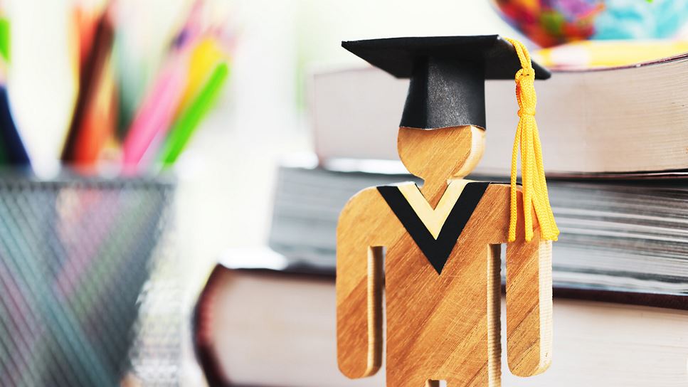 Beyond Entry Level: New Advanced Practice Doctoral Standards for the RDN