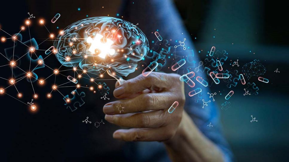 Fueling the Brain Nutrition in Neurological Disorders