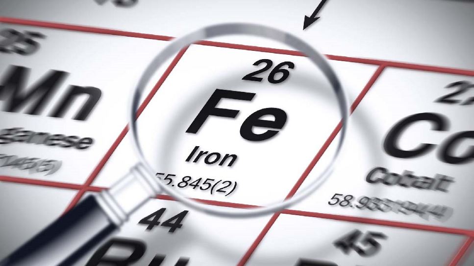 Iron in Focus: Practical Approaches for Dietetic Practice