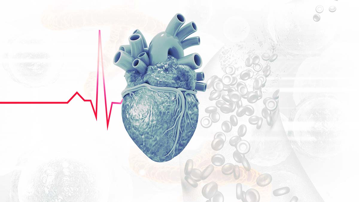 Nephrocardiology – What Dietitians Need to Know about this Emerging Field