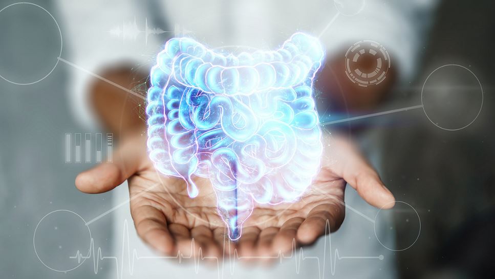 The Aging Gut: Changes in Function and Strategies for Management