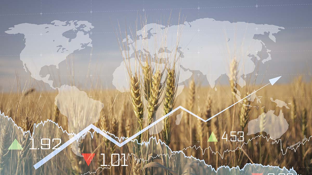 The Economics of Hunger Addressing the Interplay Between Poverty, Equity, Hunger and Diets