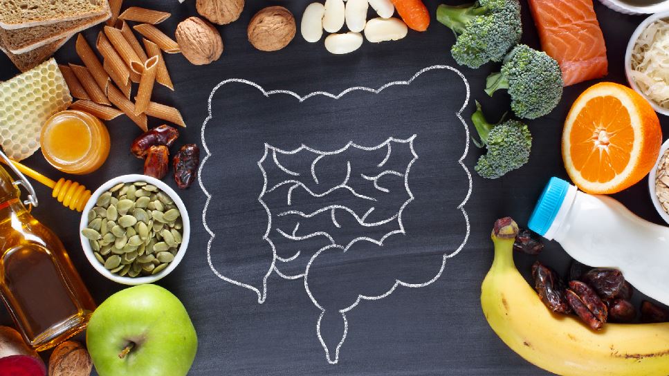 Unraveling the Fiber Mystery | Food arranged on a chalk board around the drawing of intestines.